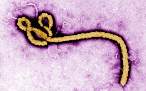 Congo and new strain of Ebola