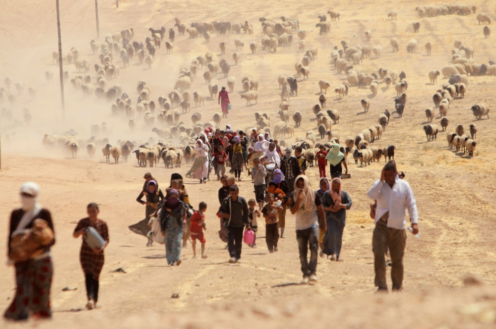 iraq-yazidi