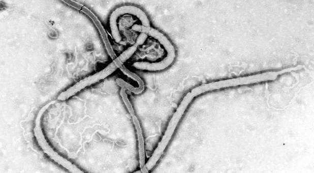 Is Ebola God’s Judgment for Dividing Jerusalem?