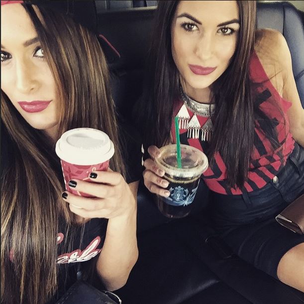 Nikki and Brie Bella News: Bella Twins Leaving the WWE?