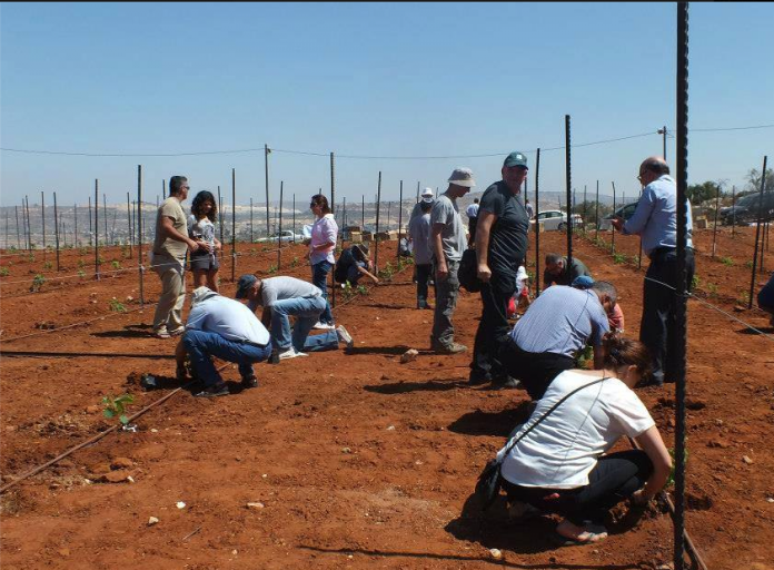 ISRAEL SEEKS TO MAKE WINE THAT JESUS DRANK