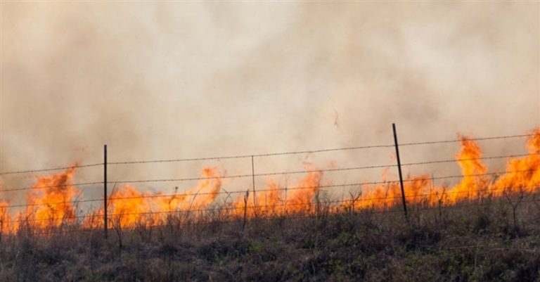 California Church Providing Shelter, Necessities to Those Fleeing Wildfires