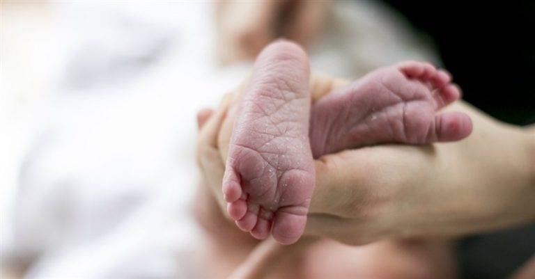 Judge OKs Suit over Baby Body Parts Research