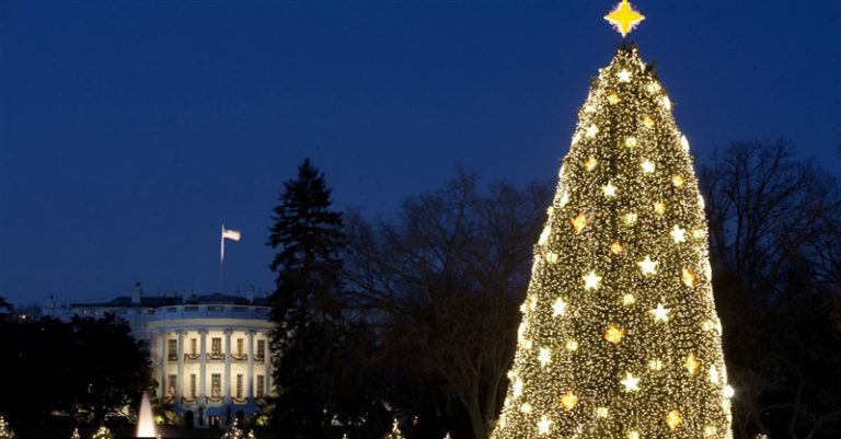Archdiocese of Washington Sues D.C. Transit System for Banning Their Christmas Ads