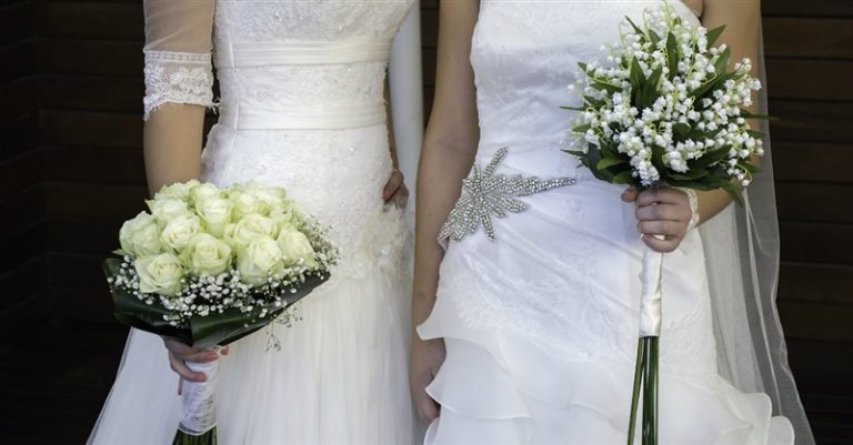 Same-Sex Custody Battles Test the Definition of Parenthood