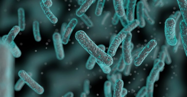 Swimming Bacteria Defy Darwin’s Theory