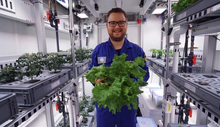 Scientists Harvest First Vegetables in Antarctic Greenhouse