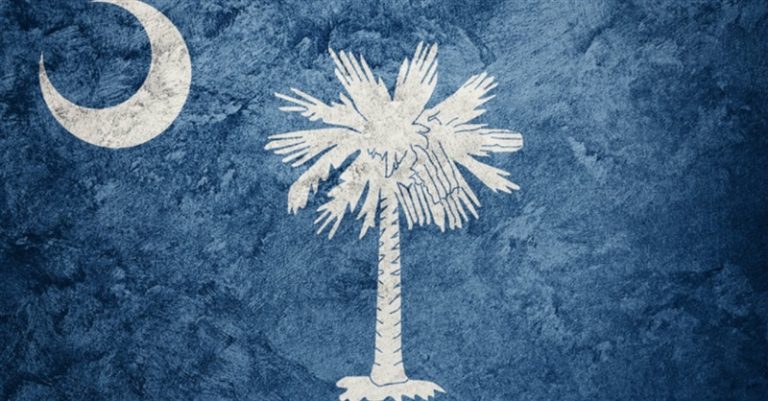 South Carolina Senate Approves Bill Banning 97 Percent of Abortions