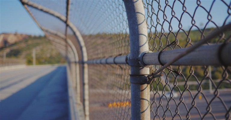 Cruz Introduces Bill to Solve Separation of Children from Illegal Immigrants