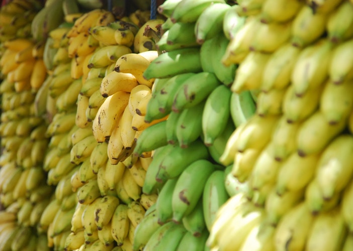 Bananas in Madagascar May Hold Key to the Fruit Surviving the Panama Disease