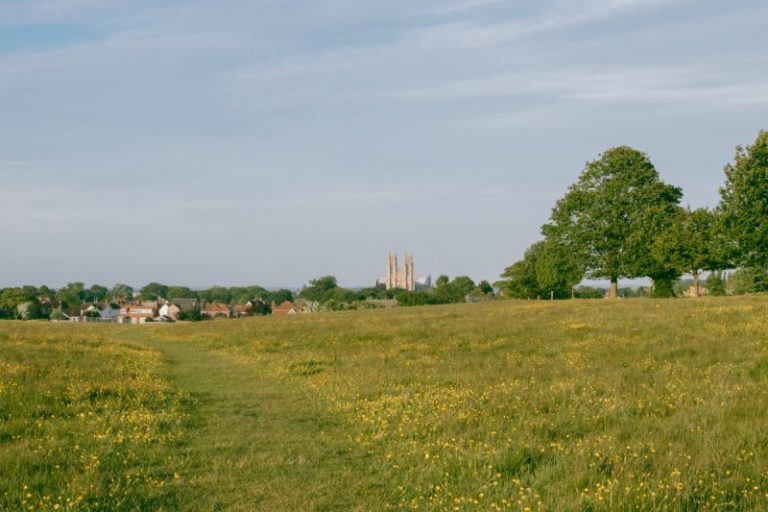 Gothic Surprise in the Small English Town of Beverley