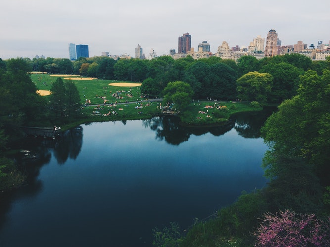 Parks Shown to Have Positive Impact on Mental Health, Can Also Help Alleviate Depression