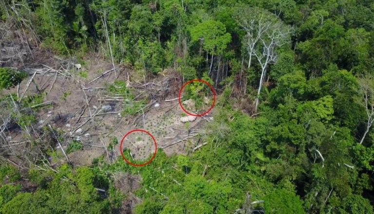 Drone Footage Shows Amazon Tribe Who Never Had Contact With Outside World – Urban Christian News