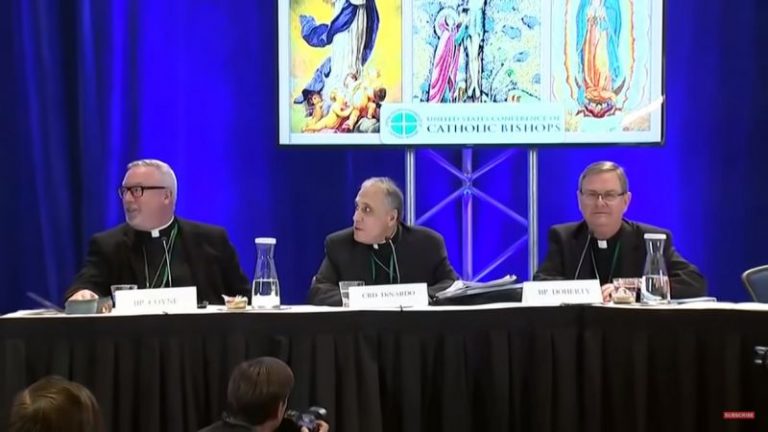 ‘How Will We Explain This?’ US Bishops Shocked, Disappointed as Pope Francis Bars Action on Sex Abuse