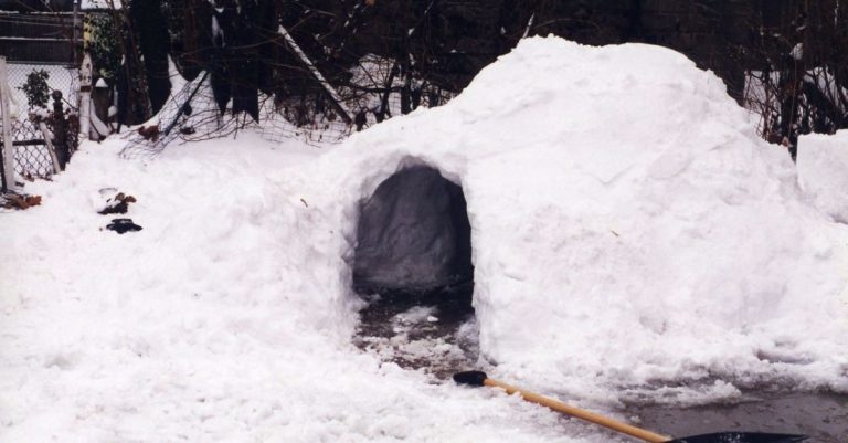 Pastor’s 12-Year-Old Daughter Dies after Being Trapped under Collapsed Snow Fort during Church Service