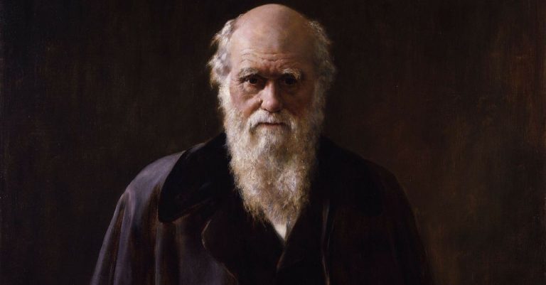 School Axes Charles Darwin Musical after Parents Complain