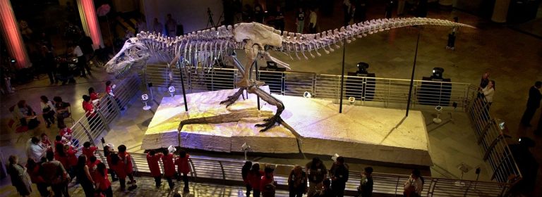 Buying a T. rex and restoring Notre Dame: Our quest for legacy