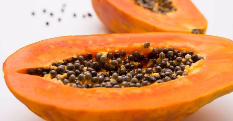 Abortionist Practices on Papayas: ‘It’s Even More Satisfying When it’s a Real’ Baby