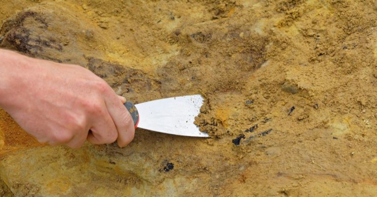 Newly Unveiled ‘Pilgrimage Road’ Opens Window into Jerusalem in Jesus’ Day