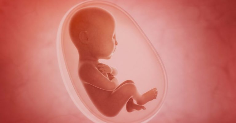 Georgia: ‘Killing a Living Unborn Child Is Not Health Care’