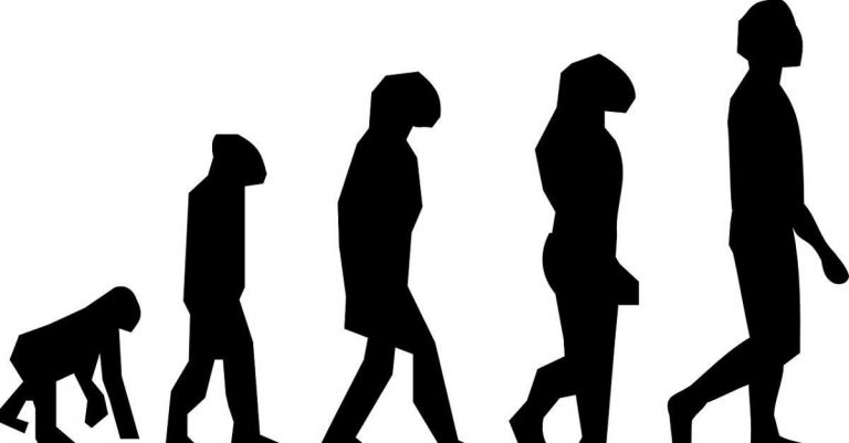 Well-Known Yale Professor Rejects Darwinism, Says Intelligent Design Is a ‘Serious’ Theory