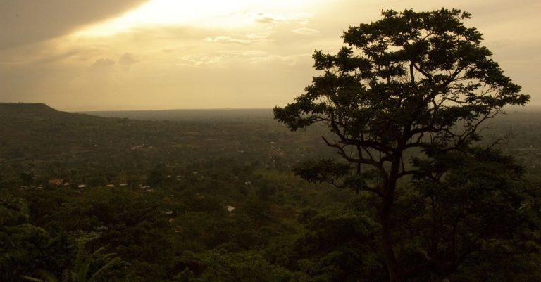 Christian Poisoned by Muslim Brothers in Eastern Uganda, Sources Say