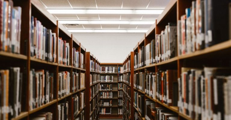 Virginia Public School Introduces Diverse Library Featuring Sexually Graphic Scenes