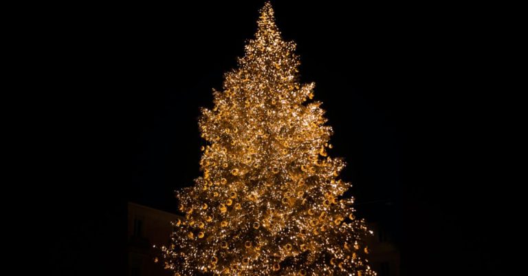 Wisconsin Governor Changes ‘Christmas Tree’ to ‘Holiday Tree,’ Legislature Pushes Back