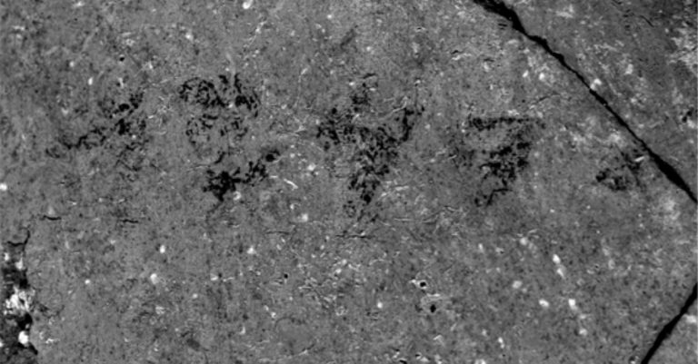 3,000-Year-Old Jar Might Confirm That Biblical Site Was Israelite City