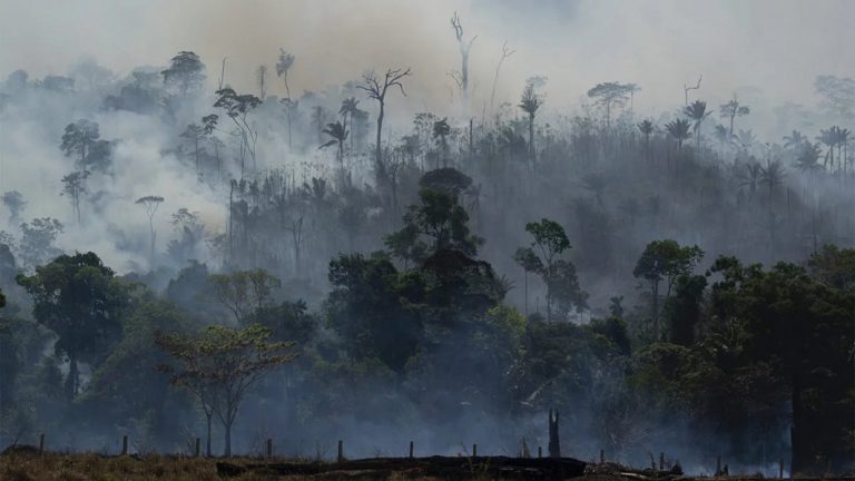 Young Evangelicals Call on National Prayer Breakfast to Take Urgent Action on Climate Change