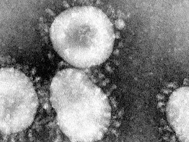 Coronavirus Becoming a Pandemic? New Outbreaks Outside China Spark Growing Fears