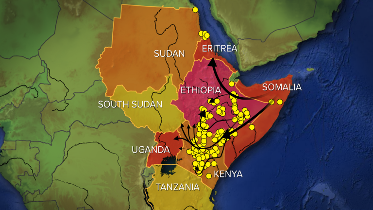 Swarms of Locusts ‘as Big as Major Cities’ Raid Africa, Threatening Millions of Already-Vulnerable Lives