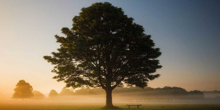 Nolan Harkness on Taking Shortcuts to Our Heavenly Callings