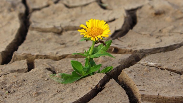 Max Lucado on Surviving April