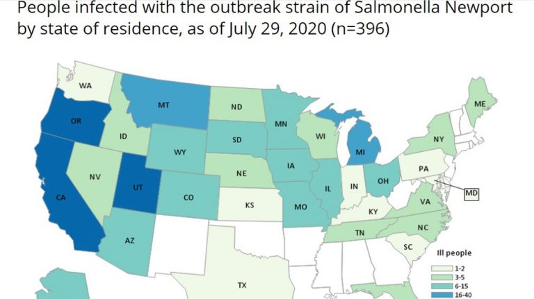 Utah one of leading states in new Salmonella outbreak linked to red onions – KUTV 2News