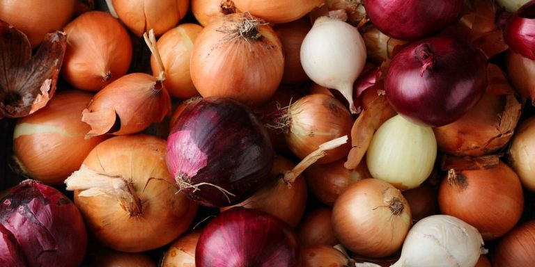 Red onions culprit in salmonella cases that have sickened nearly 400 in US, another 114 in Canada – USA TODAY