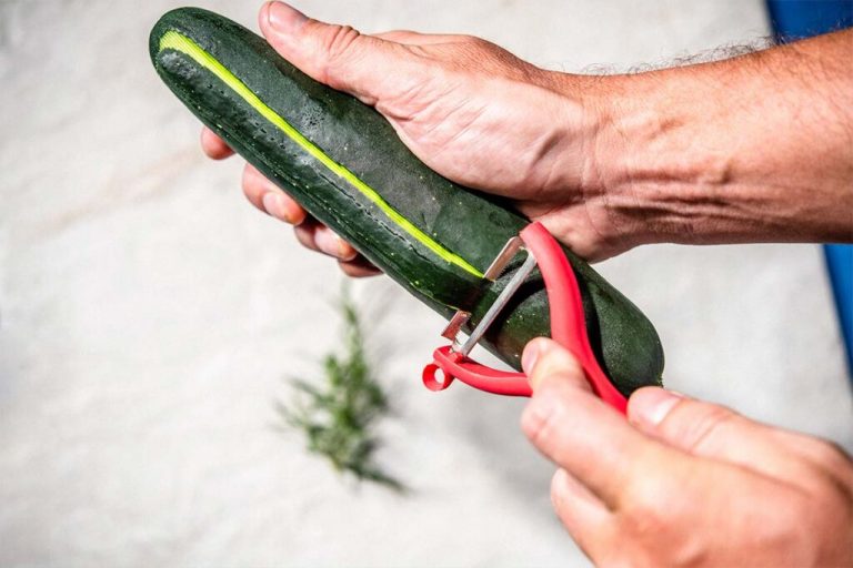 Cook Your Cucumbers