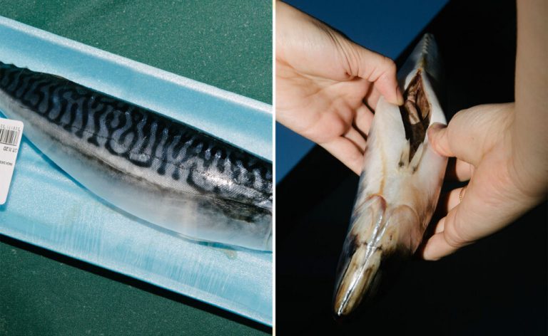 How to Gut a Fish in the Dark