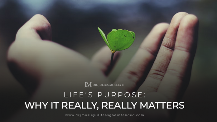 Life’s Purpose: Why It Really, Really Matters